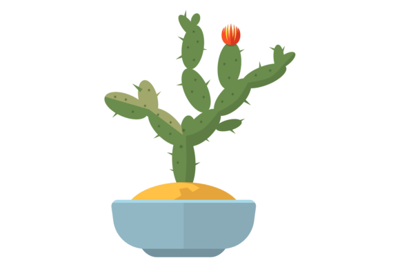 Blooming Cacti Plant Graphics and Illustrations