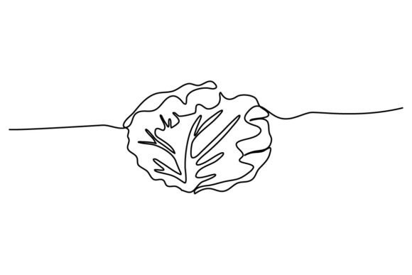 Cabbage One Continuous Line Graphics & Illustrations