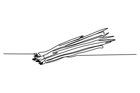 Green Onion One Continuous Line Graphics & Illustrations