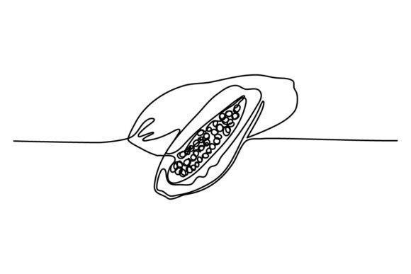 Papaya One Continuous Line Graphics & Illustrations