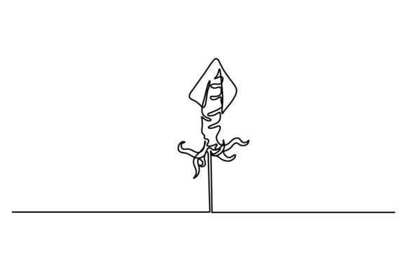 Squid One Continuous Line Graphics & Illustrations