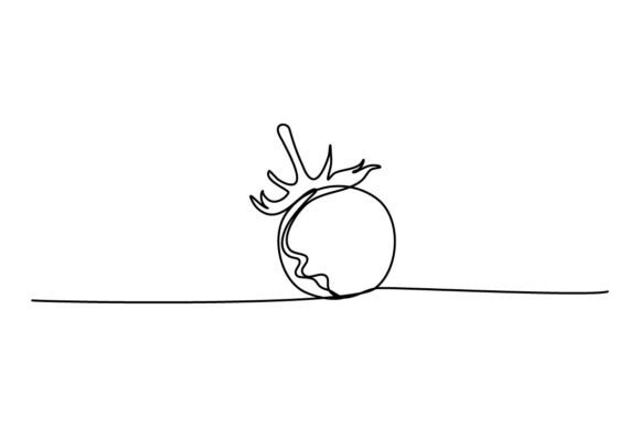 Tomato One Continuous Line: Graphics & Illustrations Review