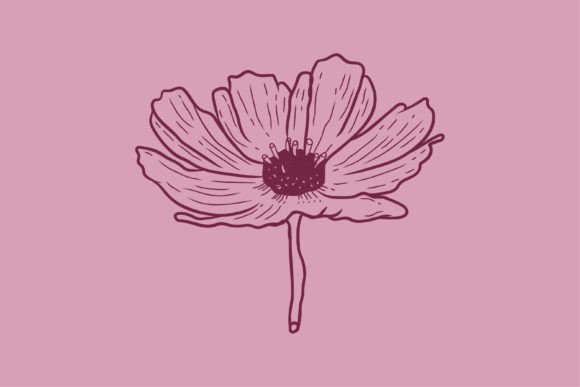 Vintage Flower Illustration Graphics & Illustrations